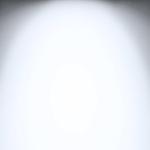 Motion Sensor Flood Light