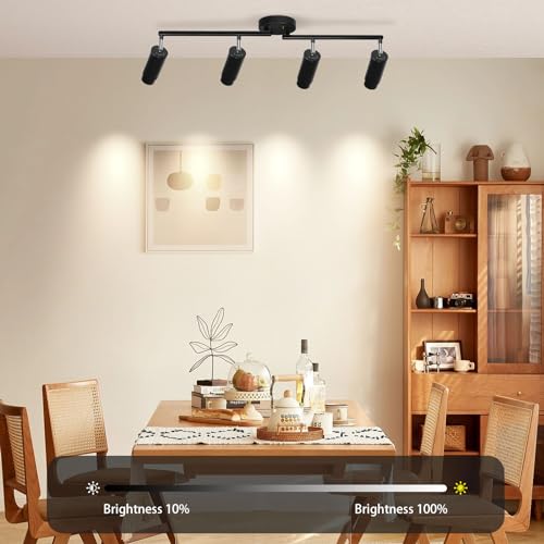 LED Track Lighting Kit 48W Track Light (Black)