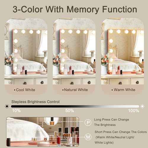 Rose Gold Hollywood Vanity Mirror with Lights (Rose Gold / 23"L x 18"W)