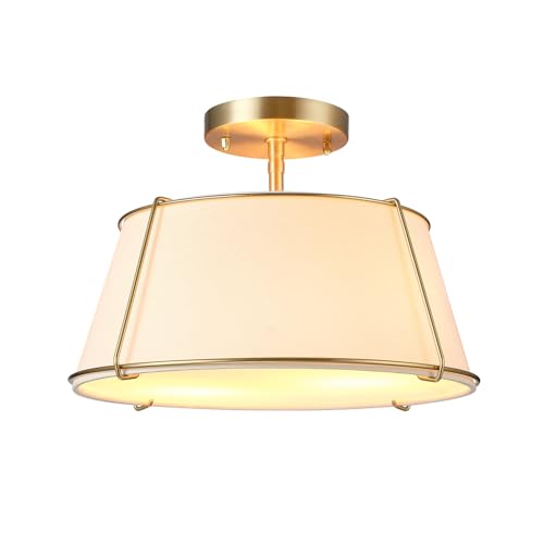 Light Flush Mount Ceiling Light
