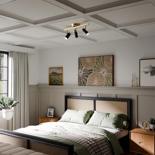 3 Light Track Lighting (Brass and Black (4-Light))
