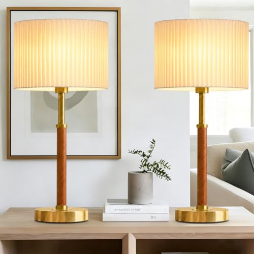 Modern Table Lamp Set of 2 for Living Room Bedroom (C)