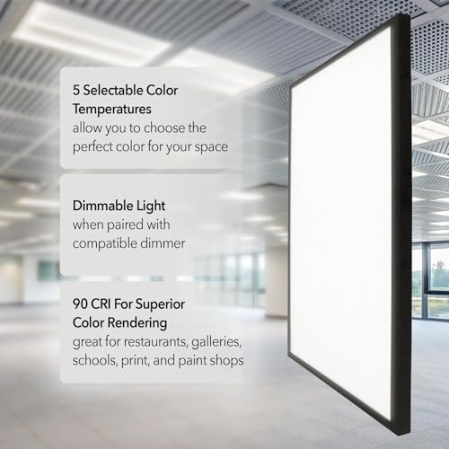 2'x2' 4200 Lumen LED Flat Panel (Black / 2x2 Feet)