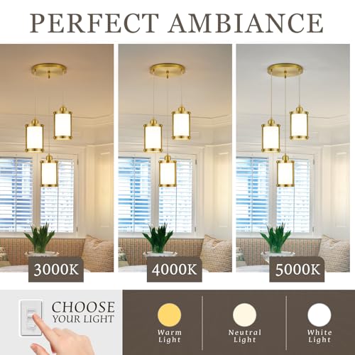 Brushed Gold 3 (Gold + Milk Glass / 3-Light Ceiling Chandelier)
