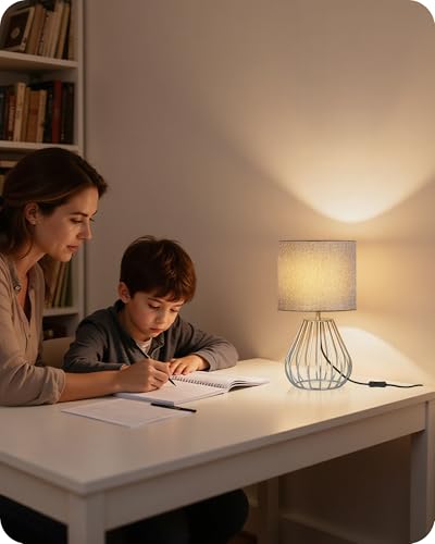 Small Table Lamp (Gray + Silver)