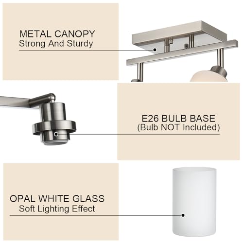 Track Lighting Fixtures Ceiling (Brushed Nickel / 3-Lights)