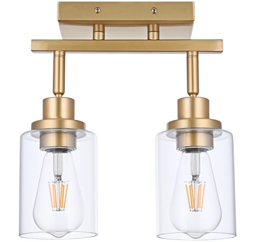 2 Light Track Lighting Fixtures Gold Finish (Gold / 2-Light)