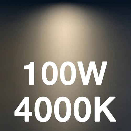 ST19 60W Led Bulbs