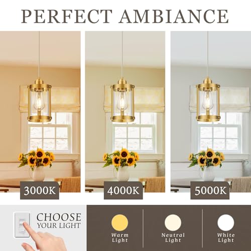 Brushed Gold Pendant Lights Kitchen Islands (Gold + Clear Glass / 1-Light Pendant, 3 Pack)