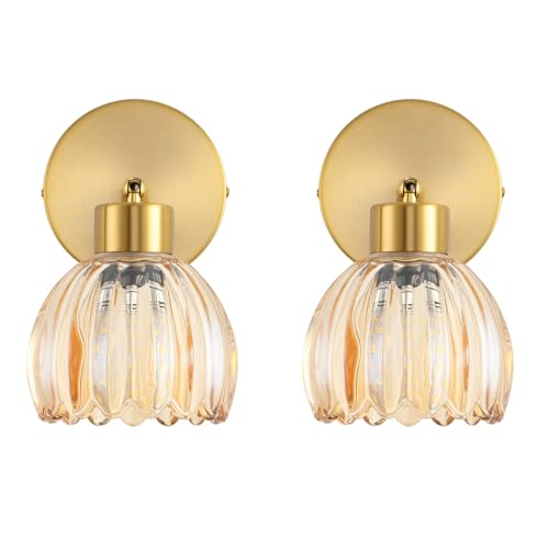 Metal Sconces Wall Lighting with Clear Glass Shade