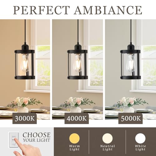 Matte Black Pendant Lights Kitchen Island (Black + Clear Glass / 1-Light Pendant, 1 Pack)