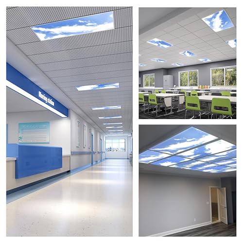 2 Pack 2x4 LED Flat Panel Light (2x4 FT - 2Pack)