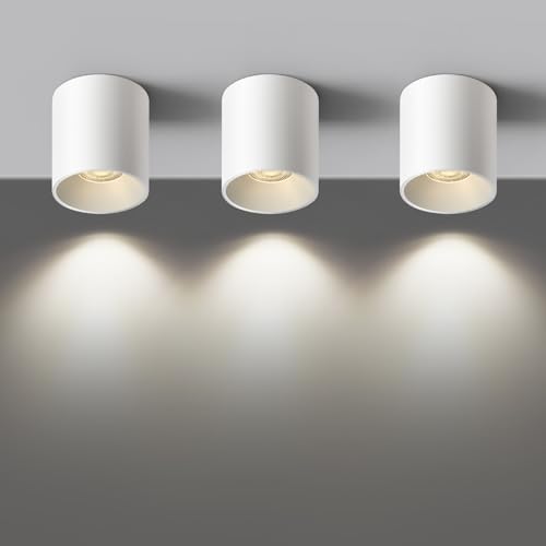 Modern LED Ceiling Light Fixture Flush Mount COB 20W 4000K Cylinder Ceiling Lights