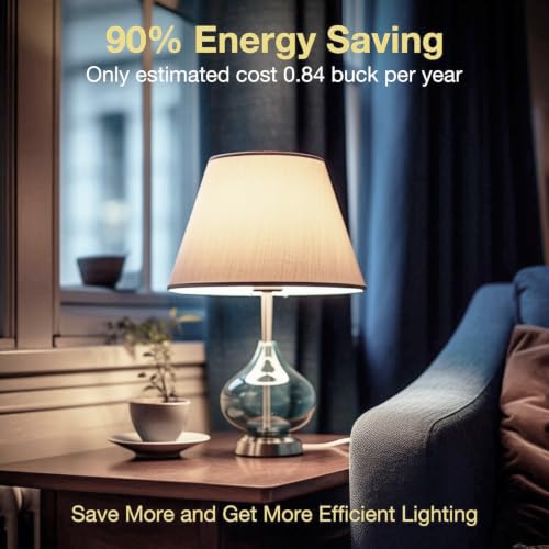 12 Pack A19 Vintage LED Edison Bulbs