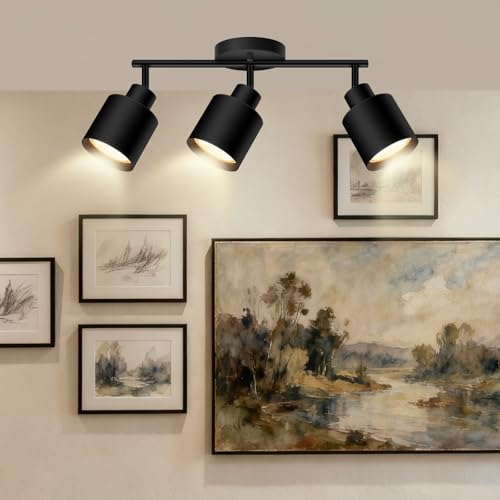 3 Light Led Track Lighting (3 light Black)