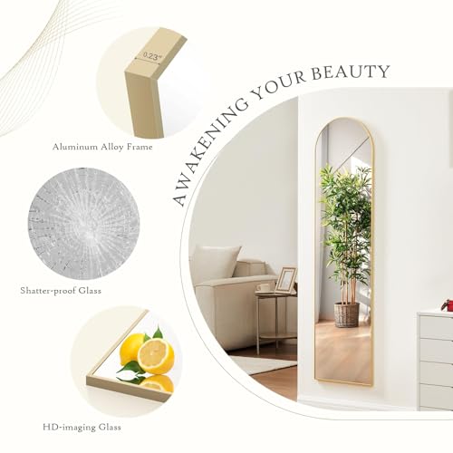 16"x59" Arched Mirror Full Length (Gold-arched / 59"L x 16"W)