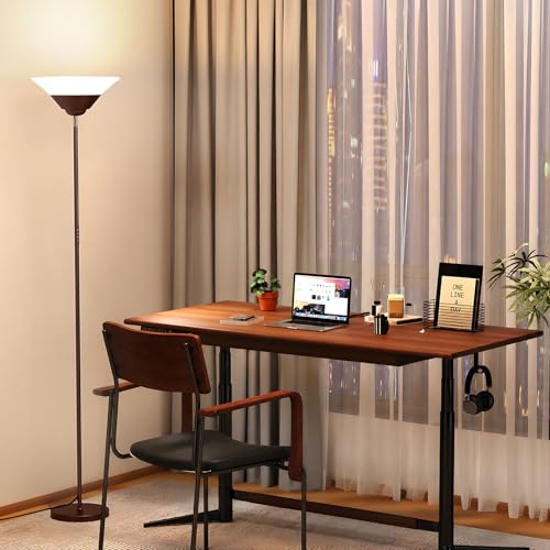 Floor Lamps for Living Room (Brown)