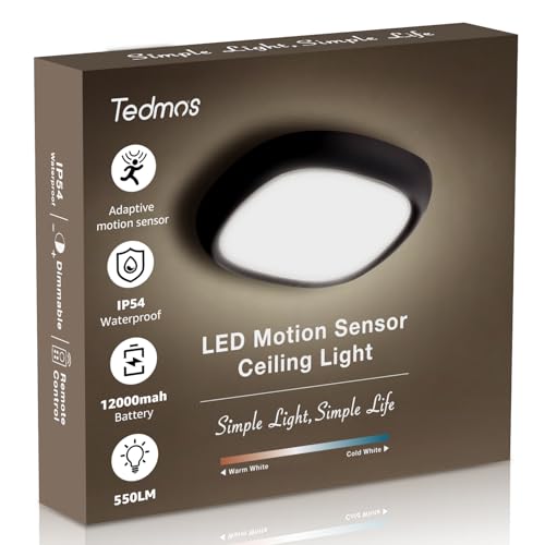 Rechargeable Ceiling Light with Motion Sensor and Remote