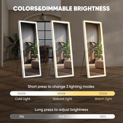 LED Rectangular Full Length Mirror (White Led-rect / 64"L x 21"W)