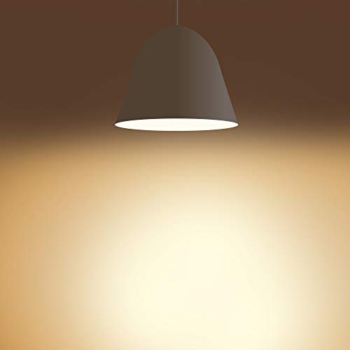 Non Dimmable LED Light Bulbs Collection