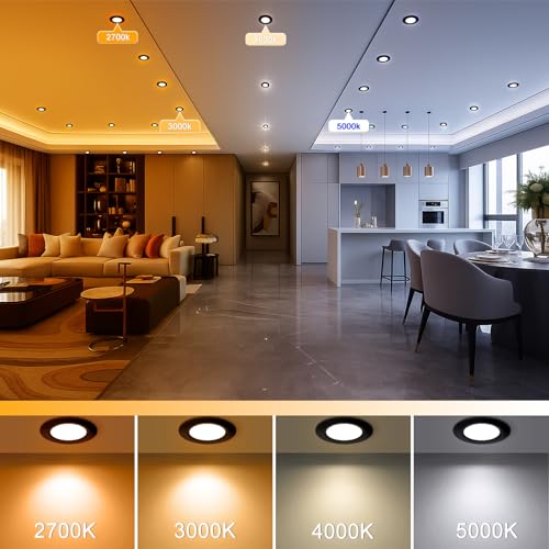 2 Inch LED Recessed Lighting (3000k (Warm White) / 10 Pack (Black))