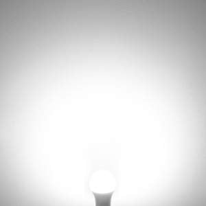 100079 LED Light Bulbs 60 Watt Equivalent A19 E26 Standard Medium Base