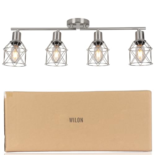 Ceiling Lighting Fixtures (Brushed Nickel / 4-Light-Cage)