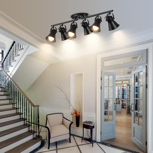 6 Light Track Lighting Kit (6-Light / Black)