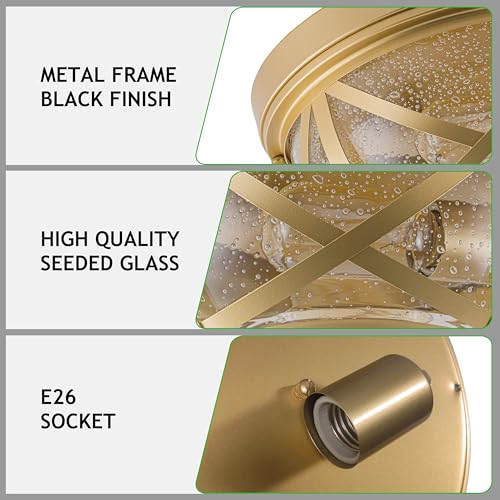 Flush Mount Ceiling Light Fixture Gold (Gold)