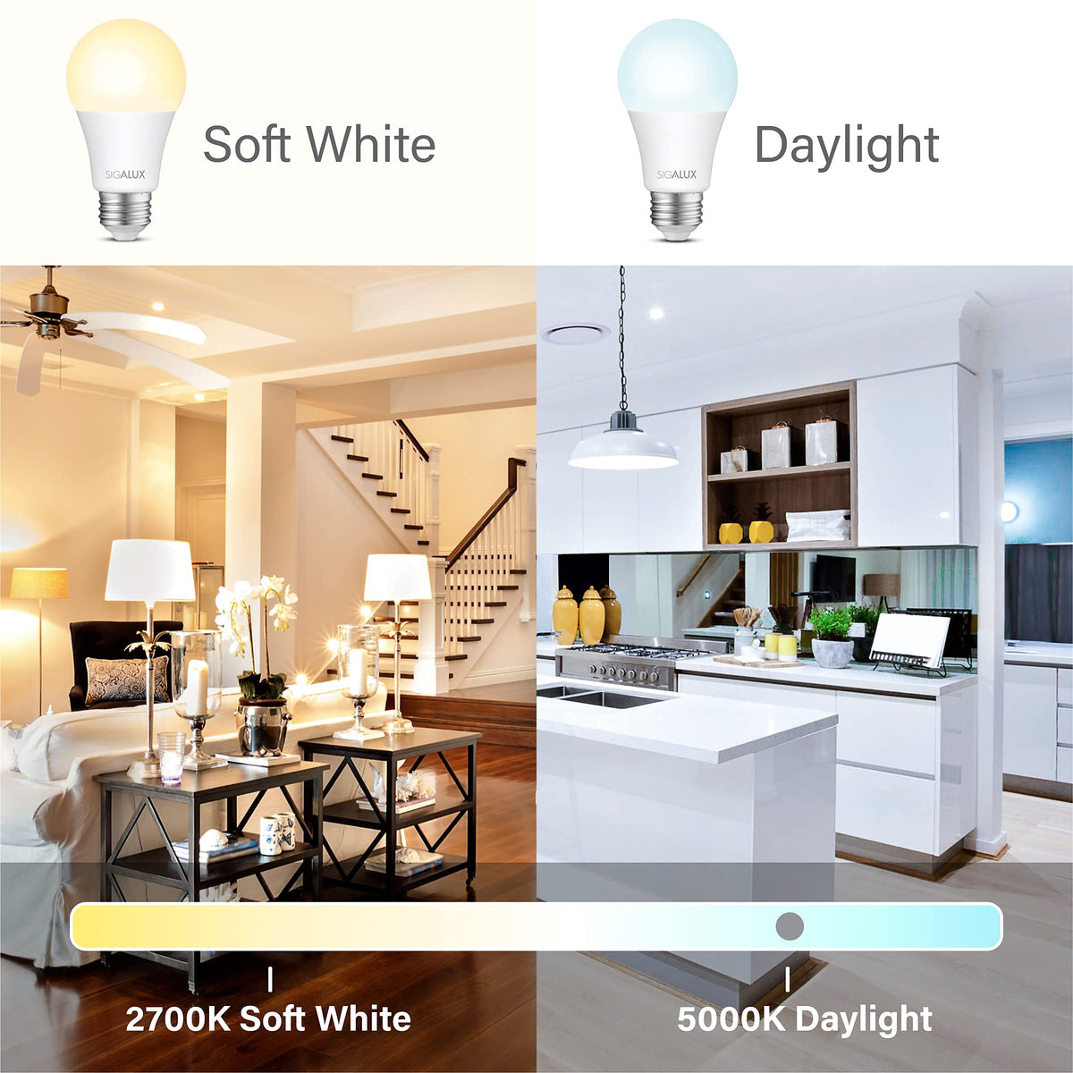 LED Light Bulbs 100 Watt Equivalent (100w-daylight / 12 Count (Pack of 1))