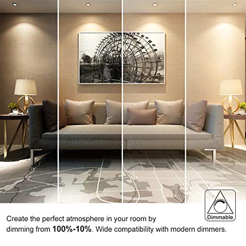 2 Inch LED Recessed Lighting (4000k (Natural White) / 10 Pack (White))