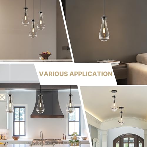 Set of 2 Raindrop Pendant Lights (Black / Set of 2)