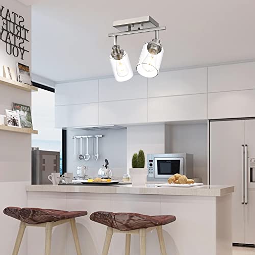 2 Light Rotatable Track Lighting Kit Spotlight Brushed Nickel (Brushed Nickel / 2-Light)