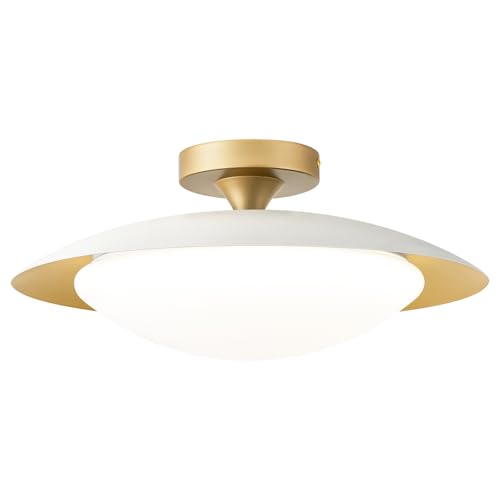 Dimmable LED Ceiling Light Fixture