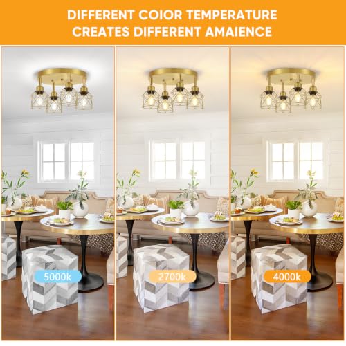 4 Light Brushed Gold Kitchen Light Fixtures Ceiling Mount (Gold / 4-Light)