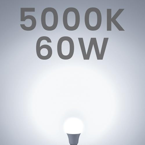 A19 LED Light Bulbs