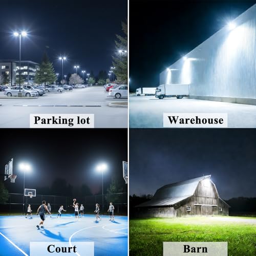 300W Dusk to Dawn Outdoor Light (100W*3-DTD)