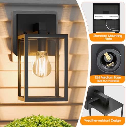 Outdoor Wall Light Fixture (Black)
