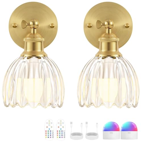 Vintage Battery Operated Wall Sconce