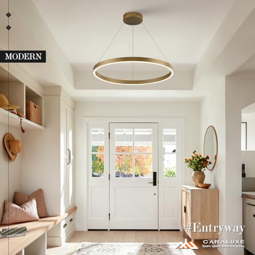 Modern LED Ring Chandelier Brass Gold Chandeliers 24in Dimmable (1 Ring 24'' / Gold Brass)