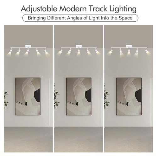 5 Light Track Lighting Fixtures Ceiling (5 light -white(small))