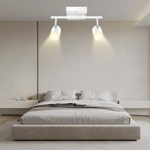 2 Light Track Lighting Kit (2 light-white)