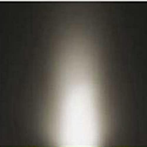 LED Edison Bulbs