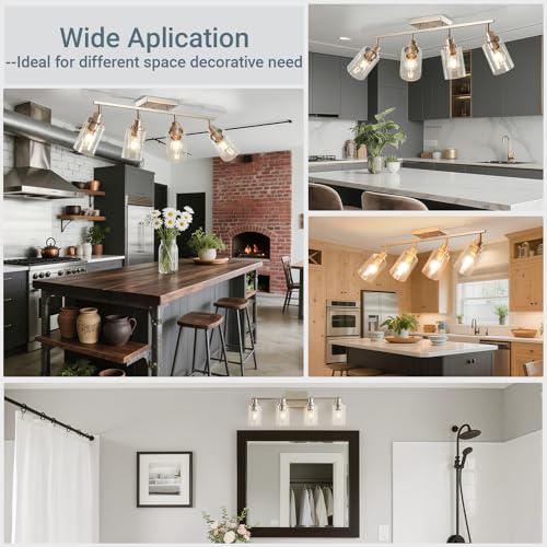 4 Light Brushed Nickel Track Lighting Kit with Clear Glass (Brushed Nickel / 4-Light)