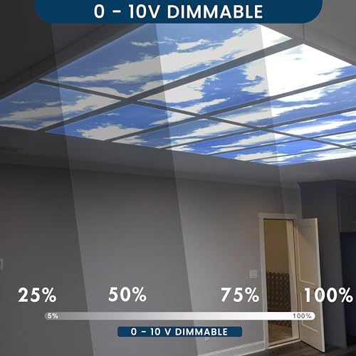 4 Pack 2x4 LED Cloud Panel Light (2x4 FT - 4Pack)