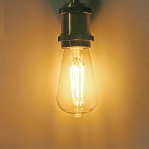 ST58 LED Edison Light Bulbs