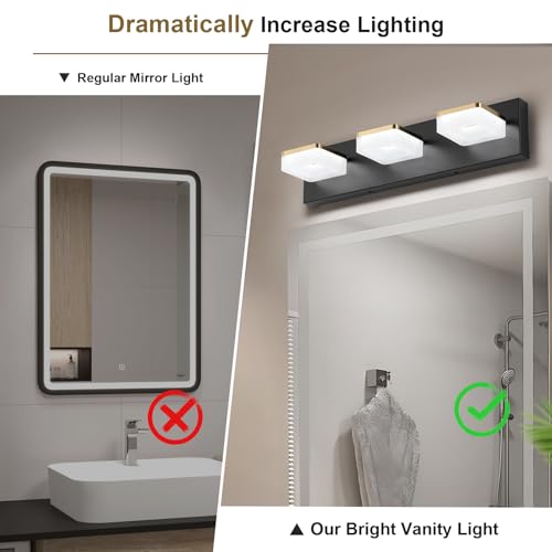 3 Light Bathroom Vanity Light (3-Light,20Inch / Black)