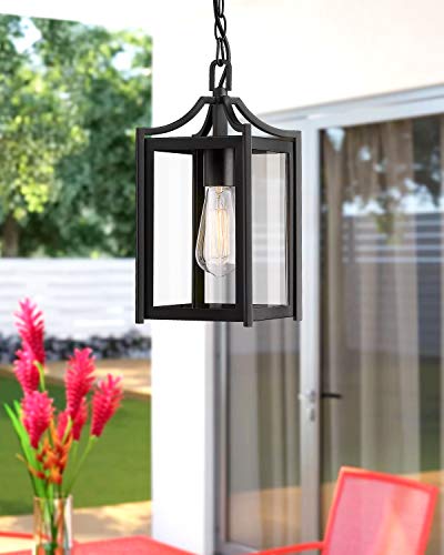 Outdoor Pendant Lights for Porch (Black / Small-Clear Glass)