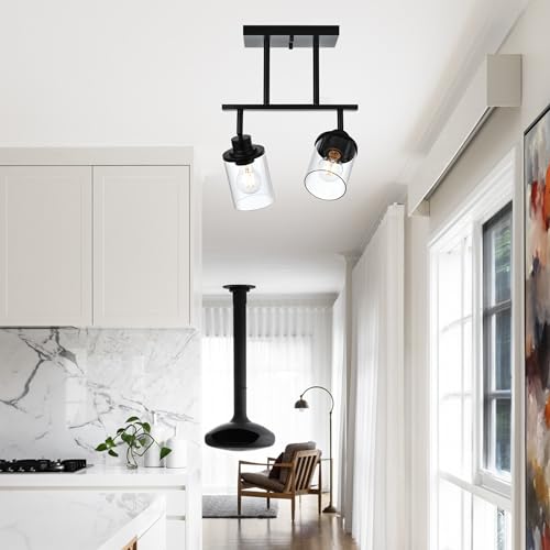 2 Light Track Lighting Kit (Black / 2-Light)