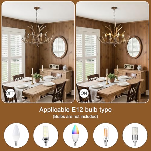 Antlers Chandelier 6 Light (8026-6Light)